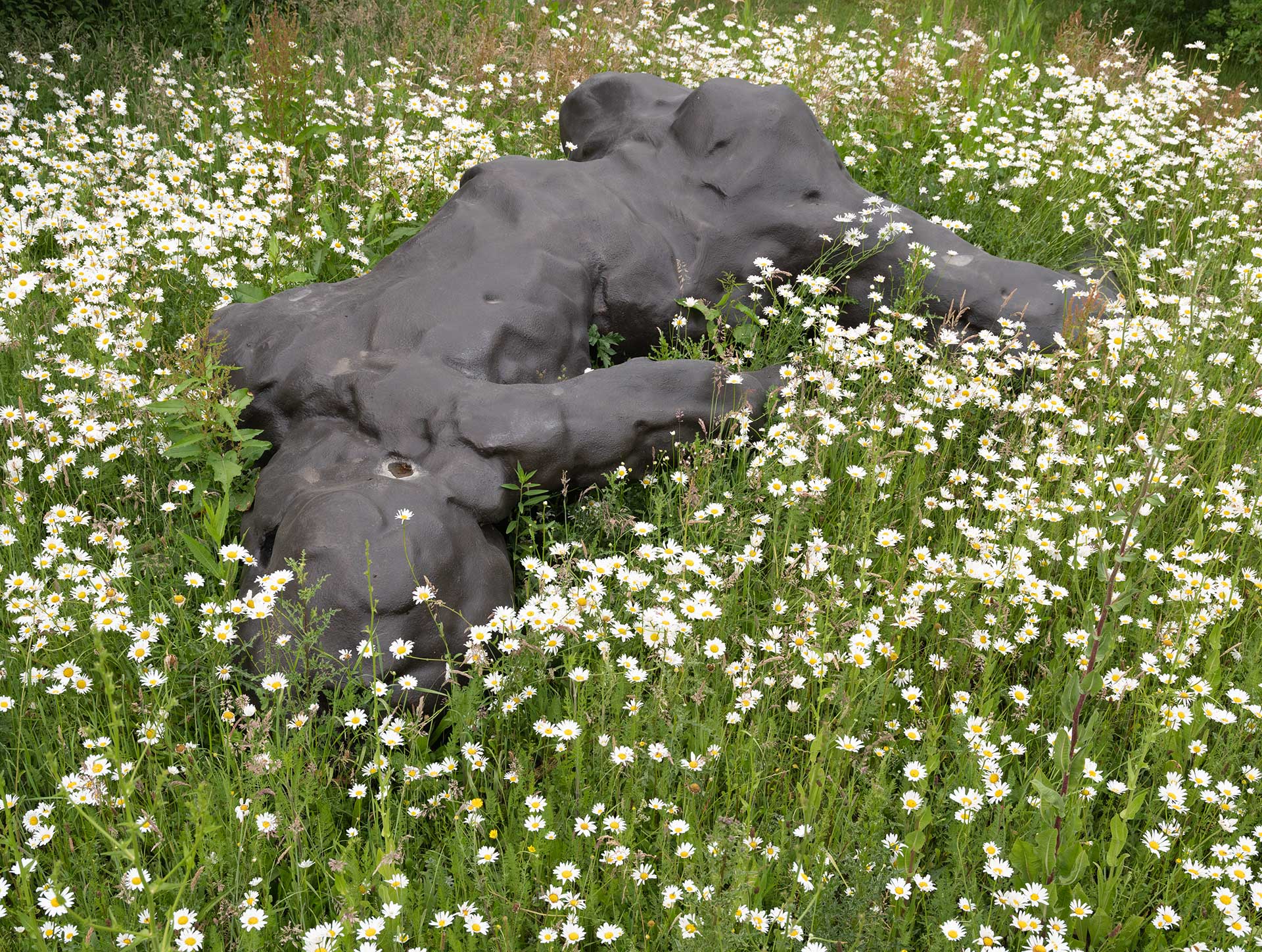 Der bewohnte Garten A Sculpture Garden